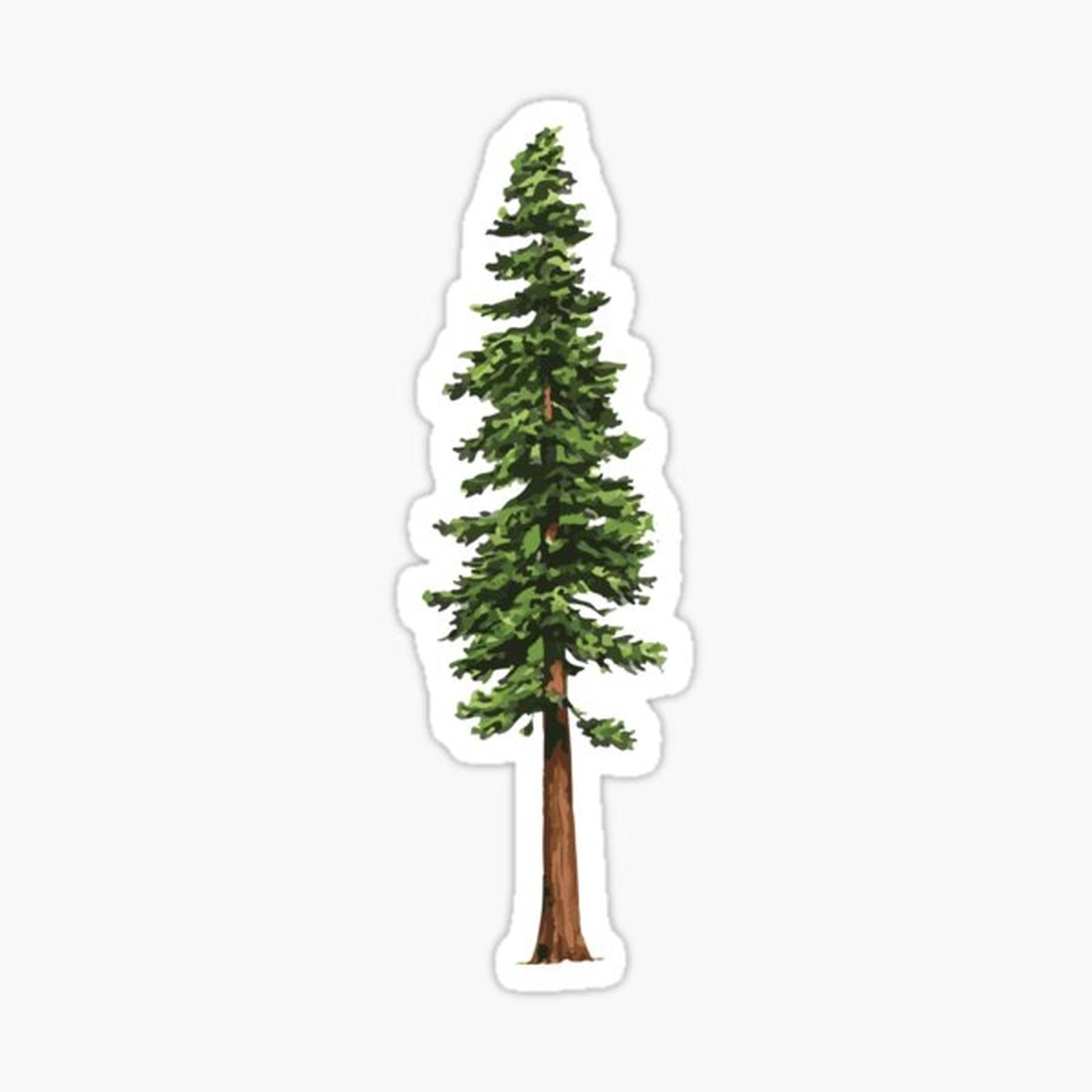 The Mighty Pine