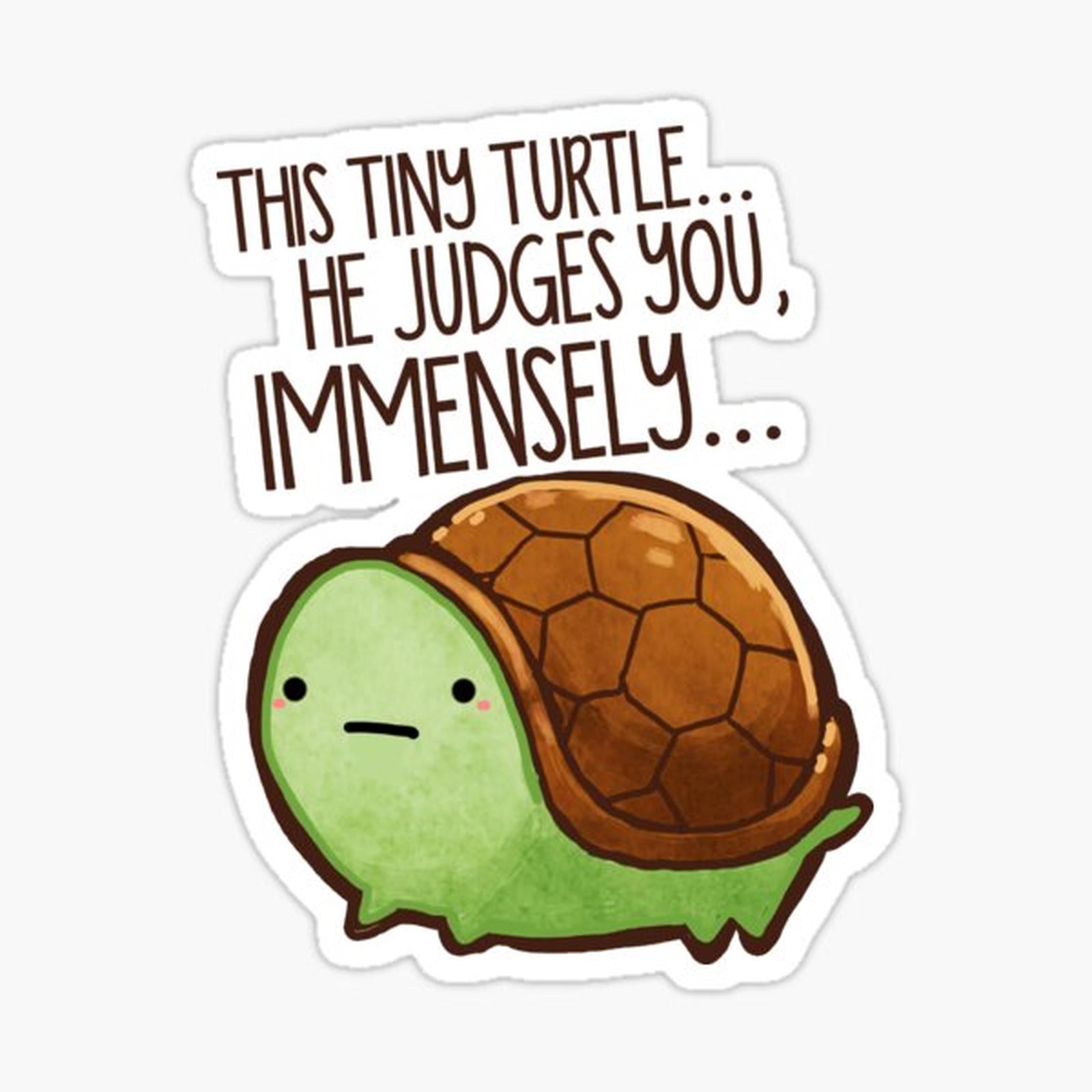 This turtle.. he judges you.