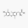 Thyroxine (Levothyroxine)