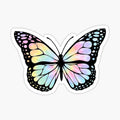 Tie Dye Butterfly