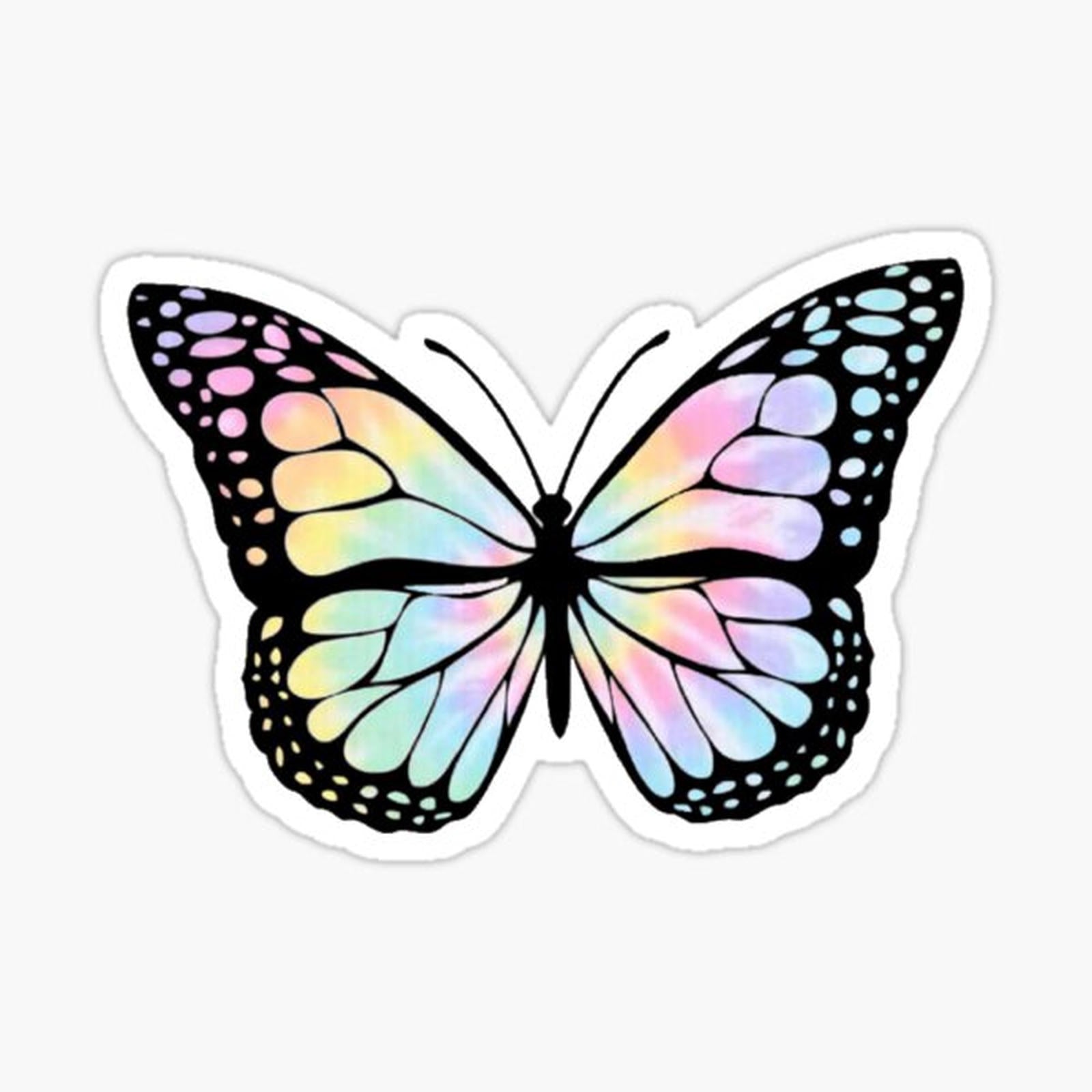 Tie Dye Butterfly