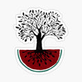 tree of life palestine