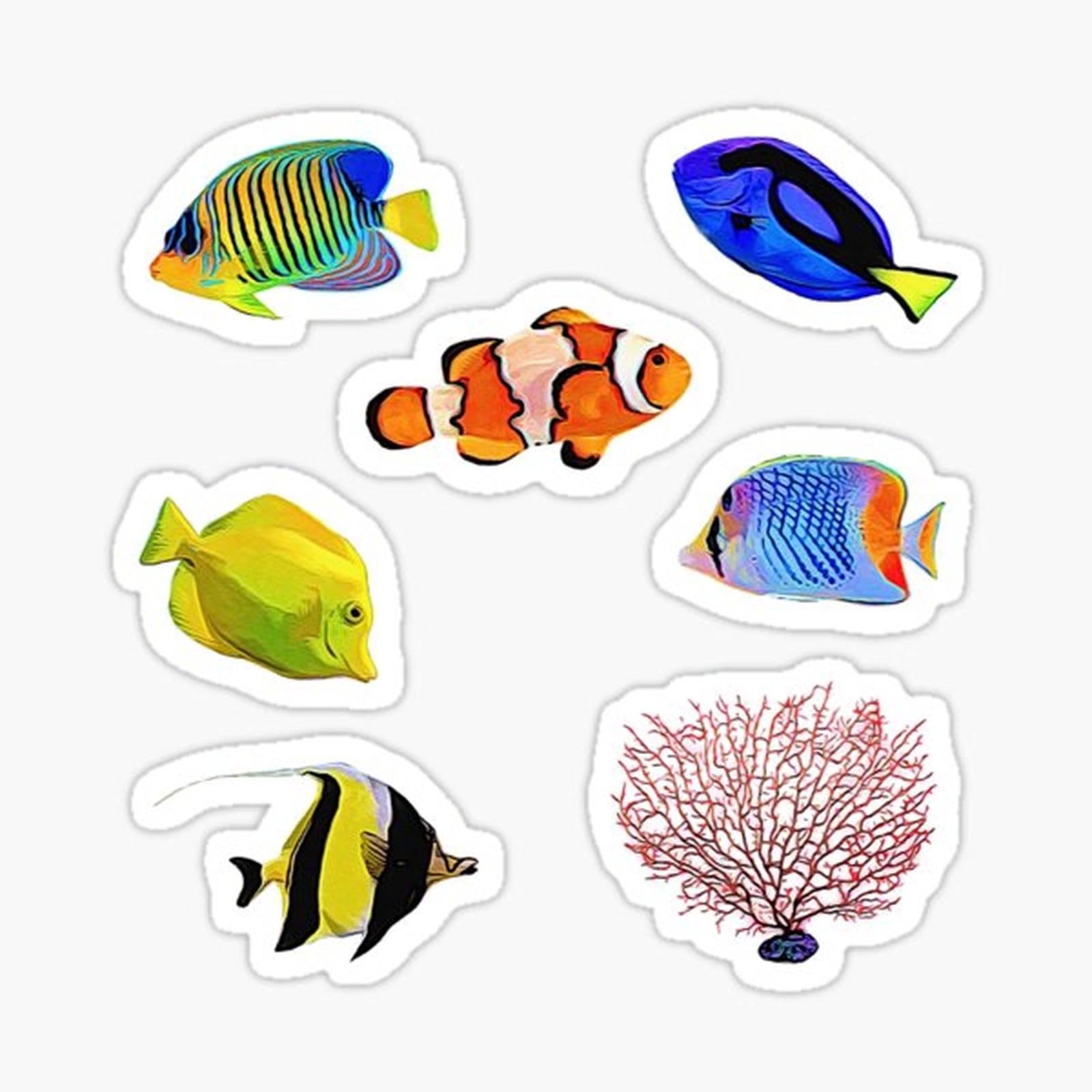 Tropical Ocean Fish
