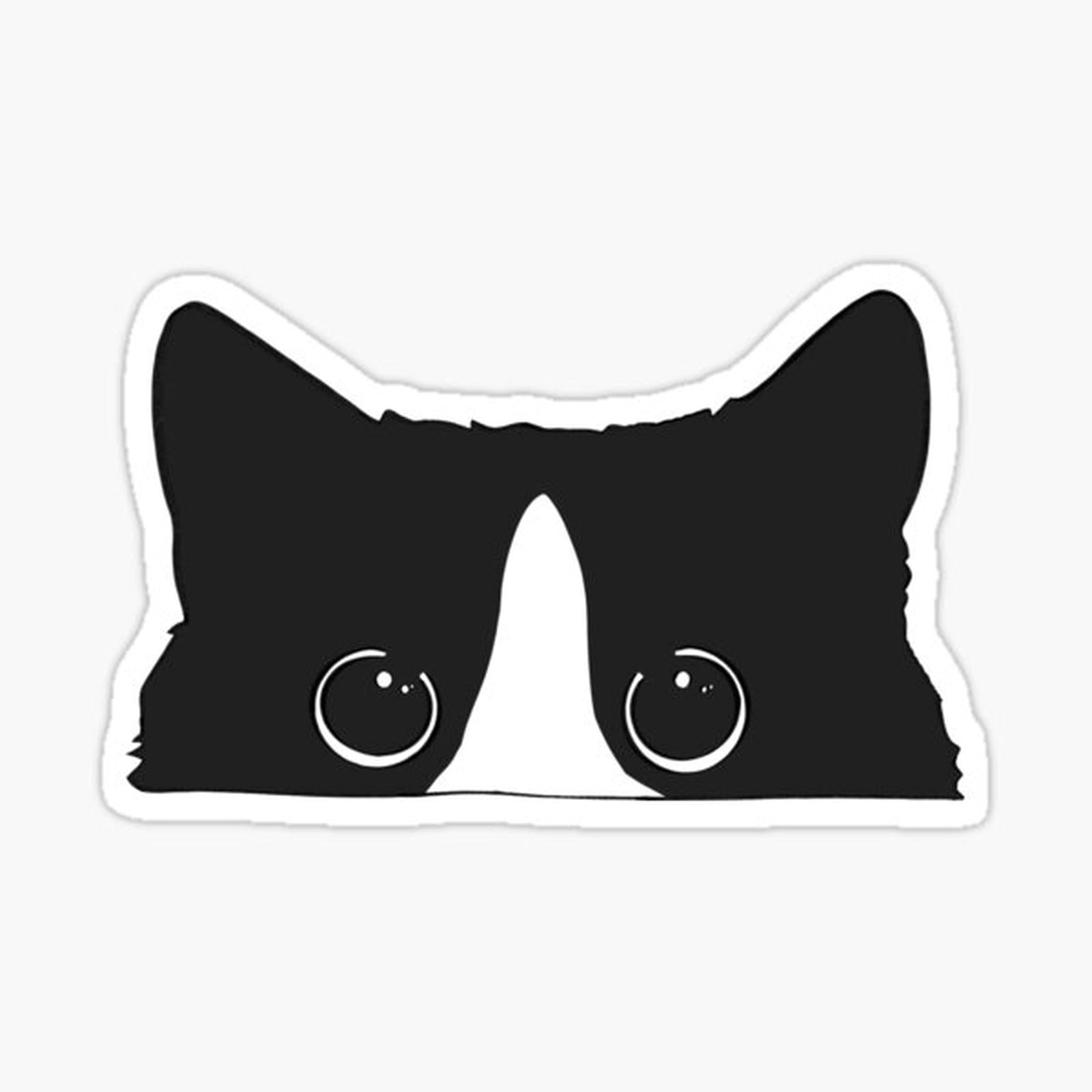 tuxedo cat