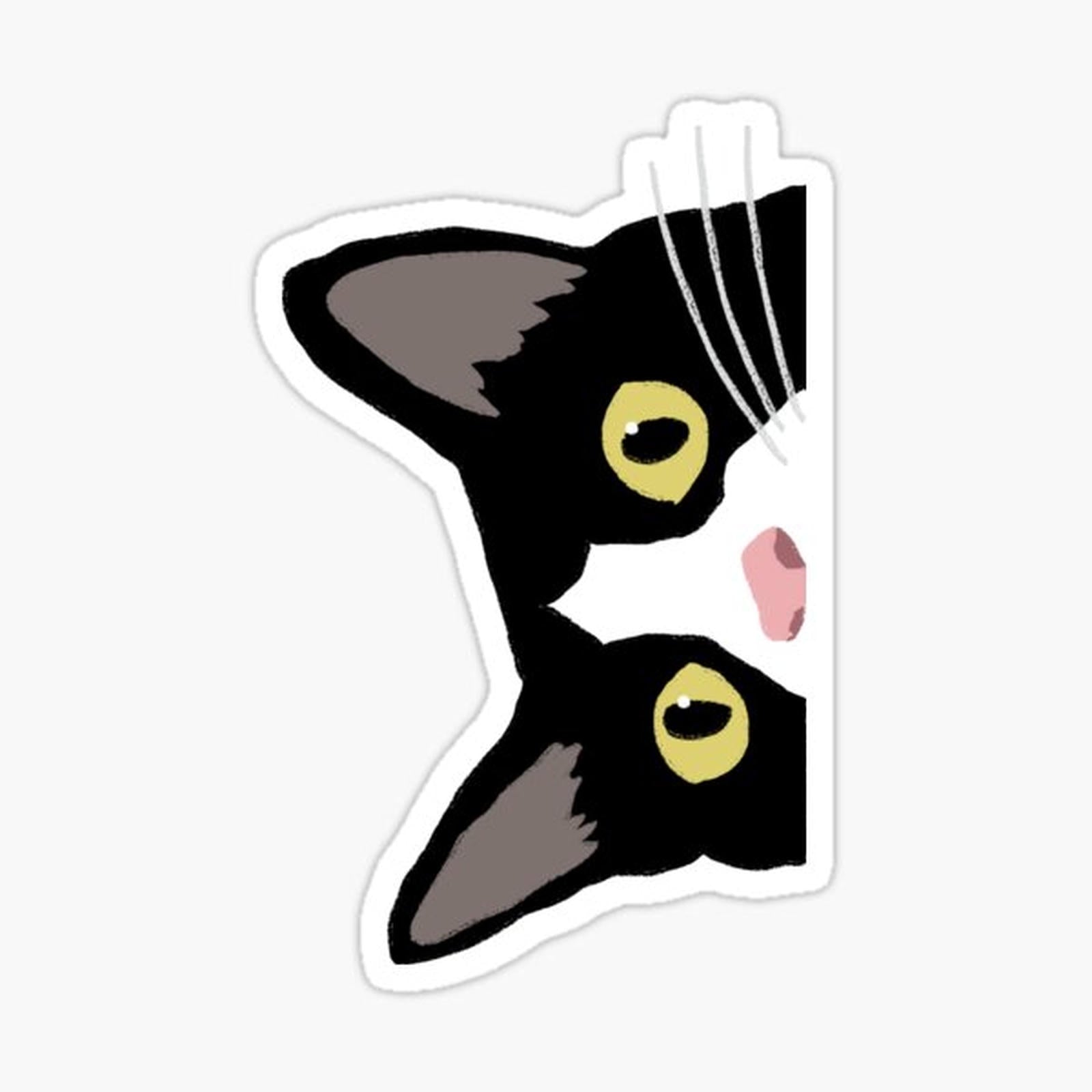 Tuxedo Cat Is Watching You