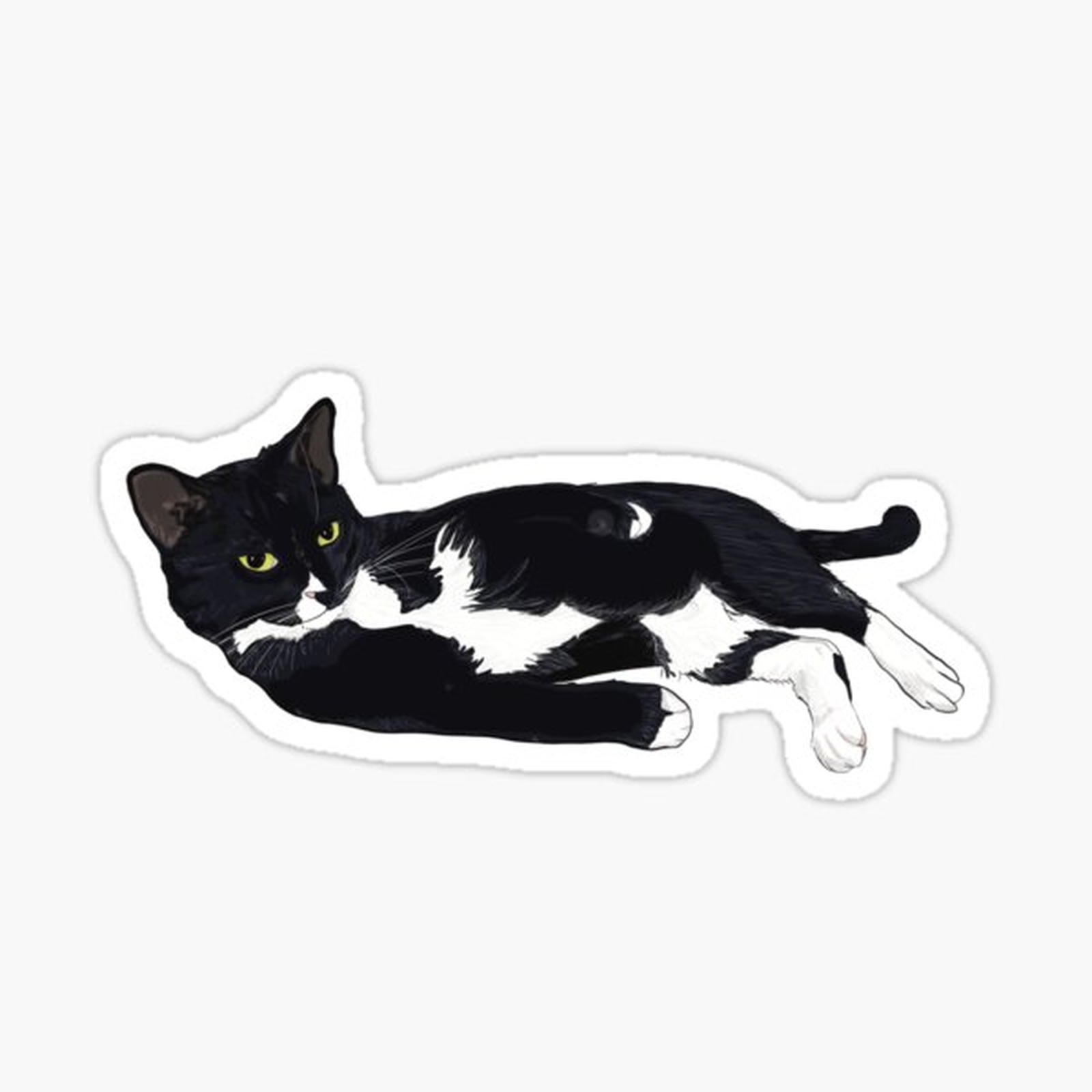Tuxedo Cat Lounging