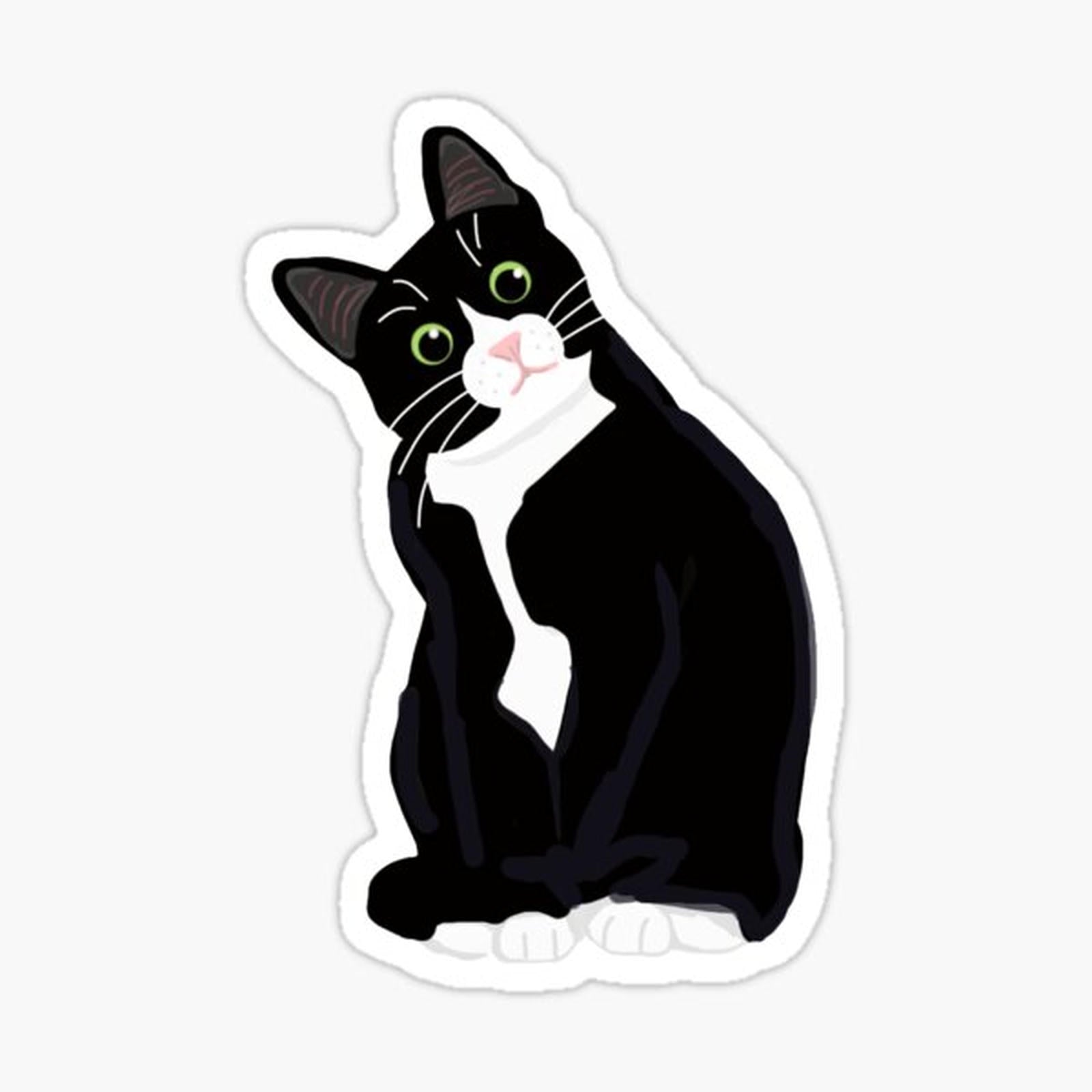 Tuxedo Cat