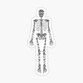 Typographical Skeleton