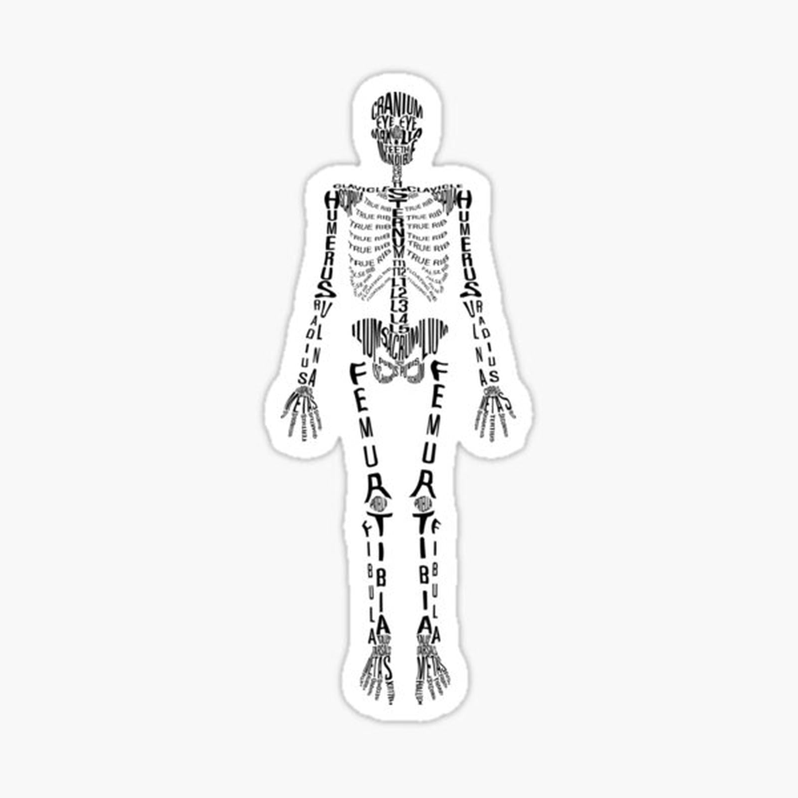 Typographical Skeleton