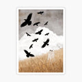 Walter and The Crows