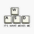 WASD IT'S WHAT MOVES ME