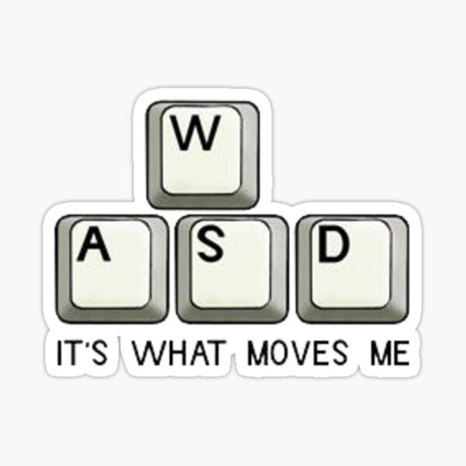 WASD IT'S WHAT MOVES ME