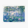 water Lilies