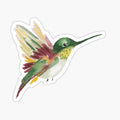 Watercolor Hummingbird