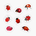 Watercolor Ladybugs