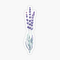 Watercolor lavender