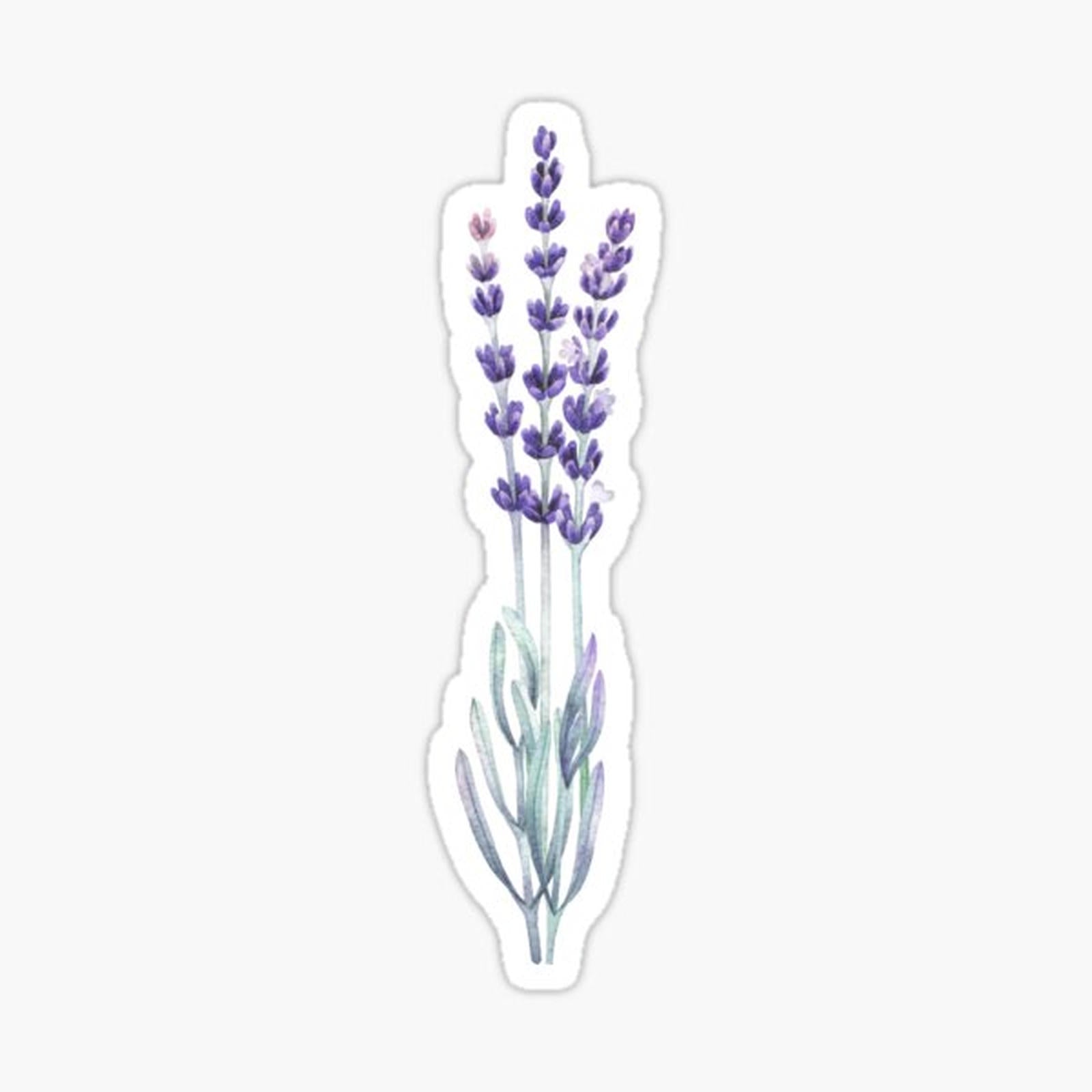 Watercolor lavender