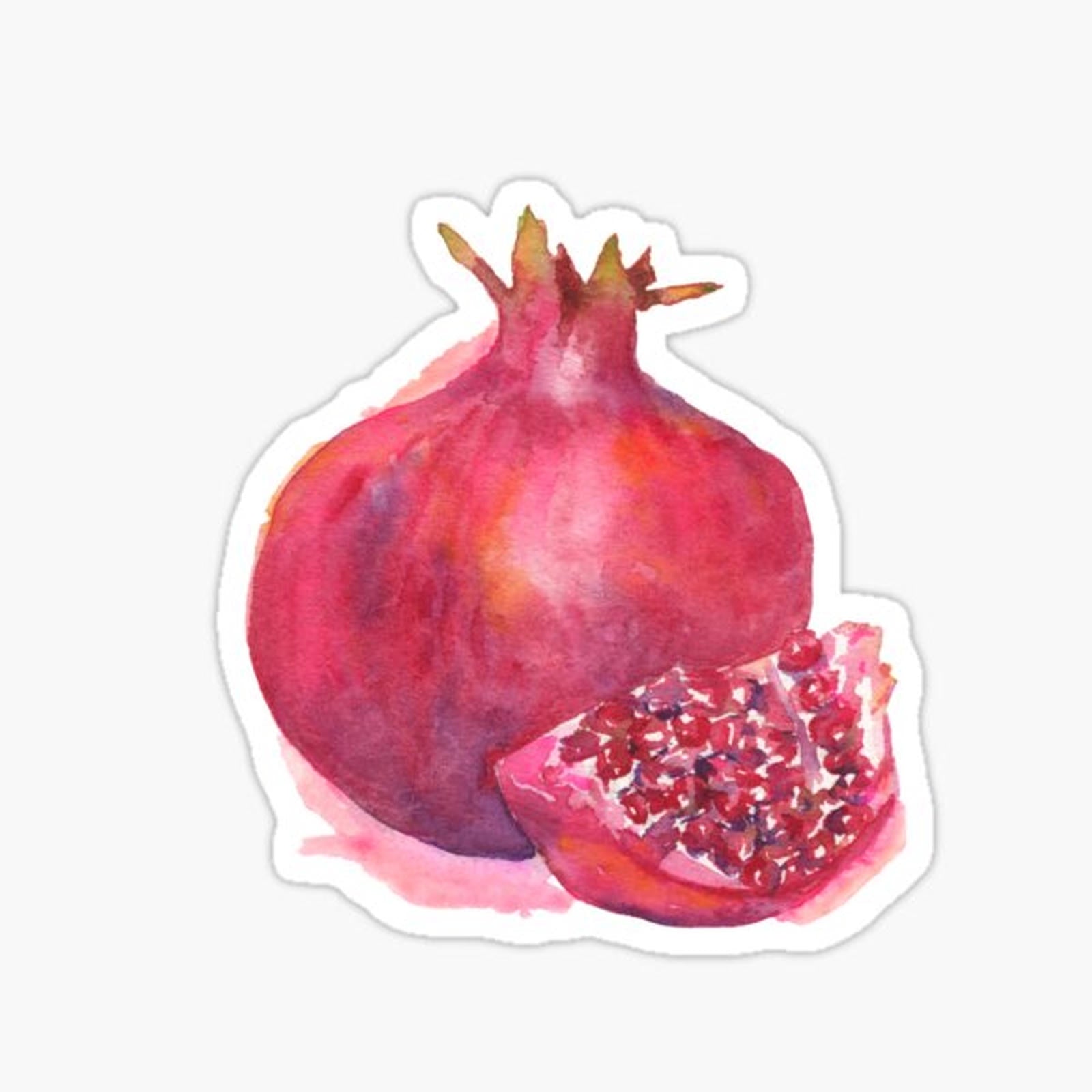 Watercolor Pomegranate