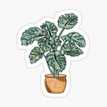 Watercolor potted monstera plant