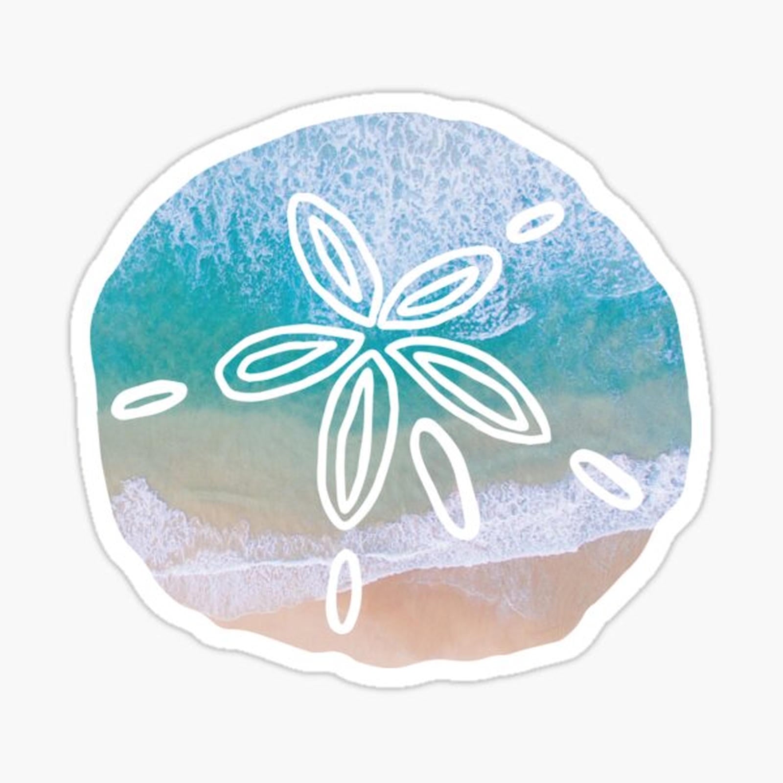 Waves sand dollar