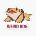 weird dog