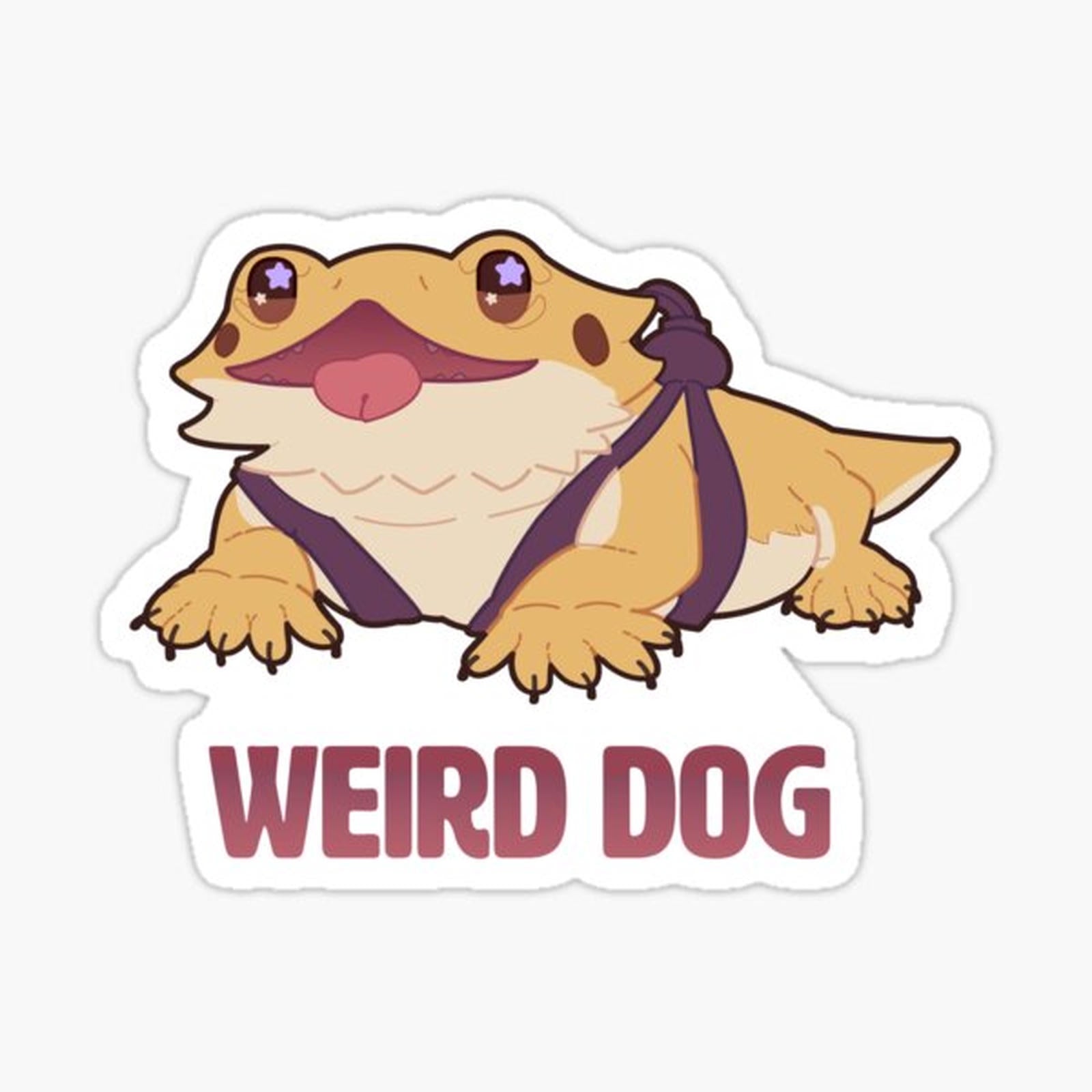 weird dog