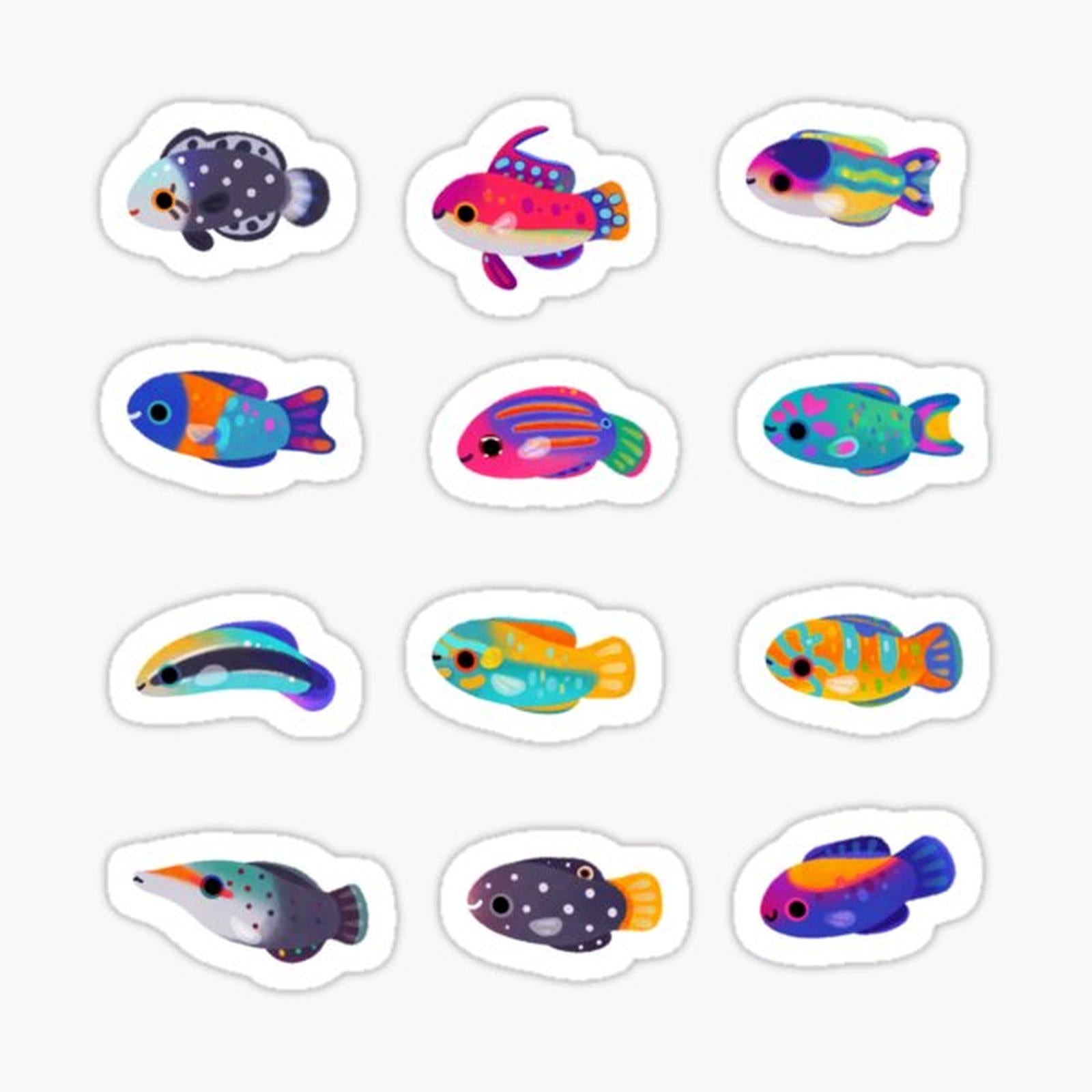Wrasse!