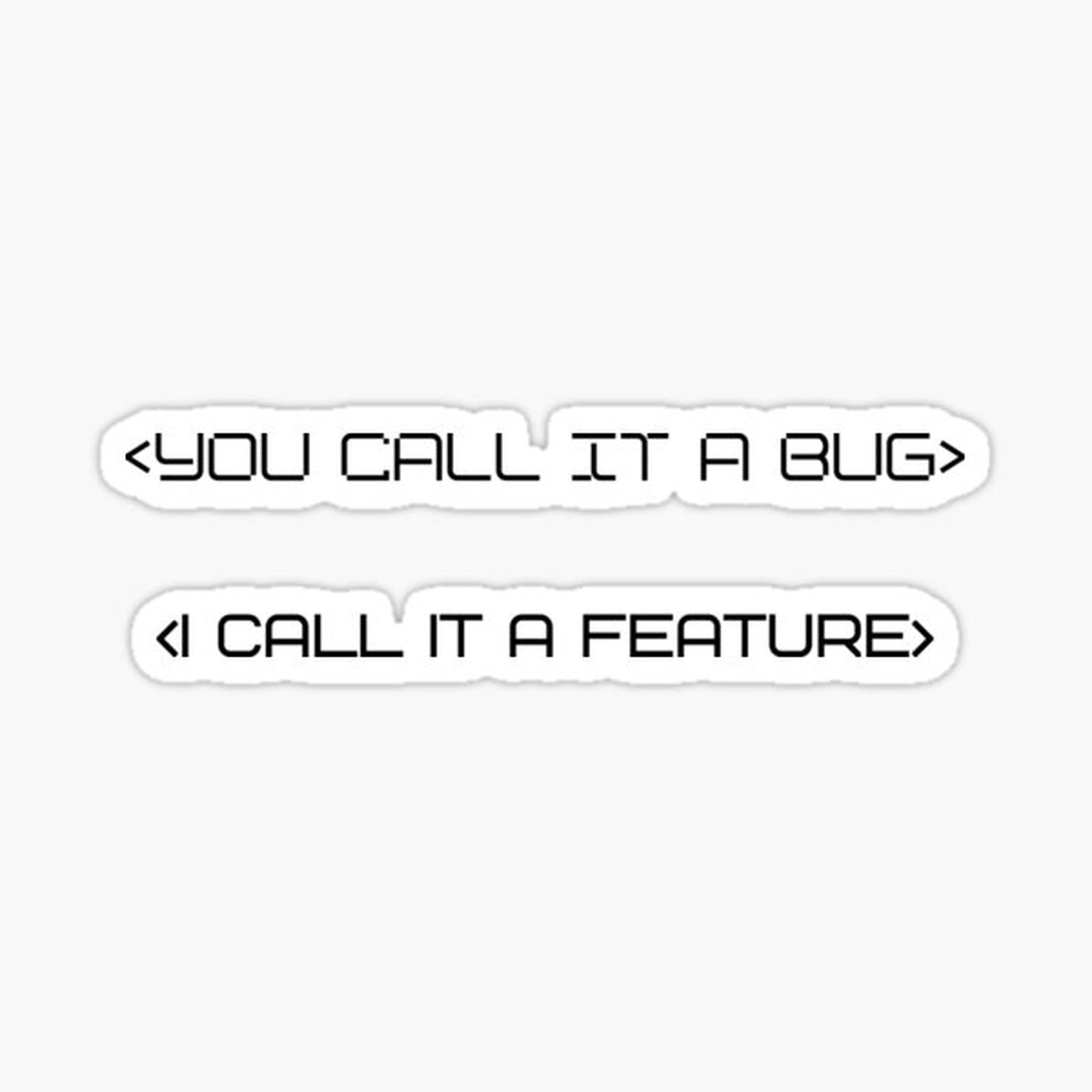 You call it Bug